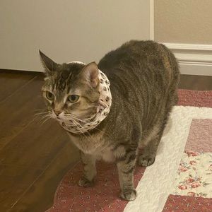 Meet your Posher, Chae